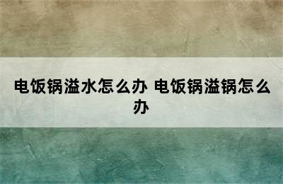 电饭锅溢水怎么办 电饭锅溢锅怎么办